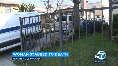 How the fatal stabbing of a husband, wife and son in their .